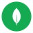 Skill mongodb